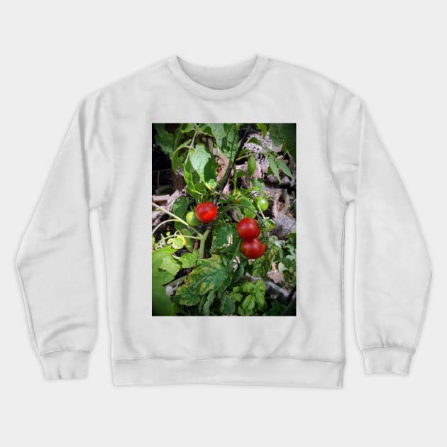 Tomatoes Crewneck Sweatshirt by Gourmetkater